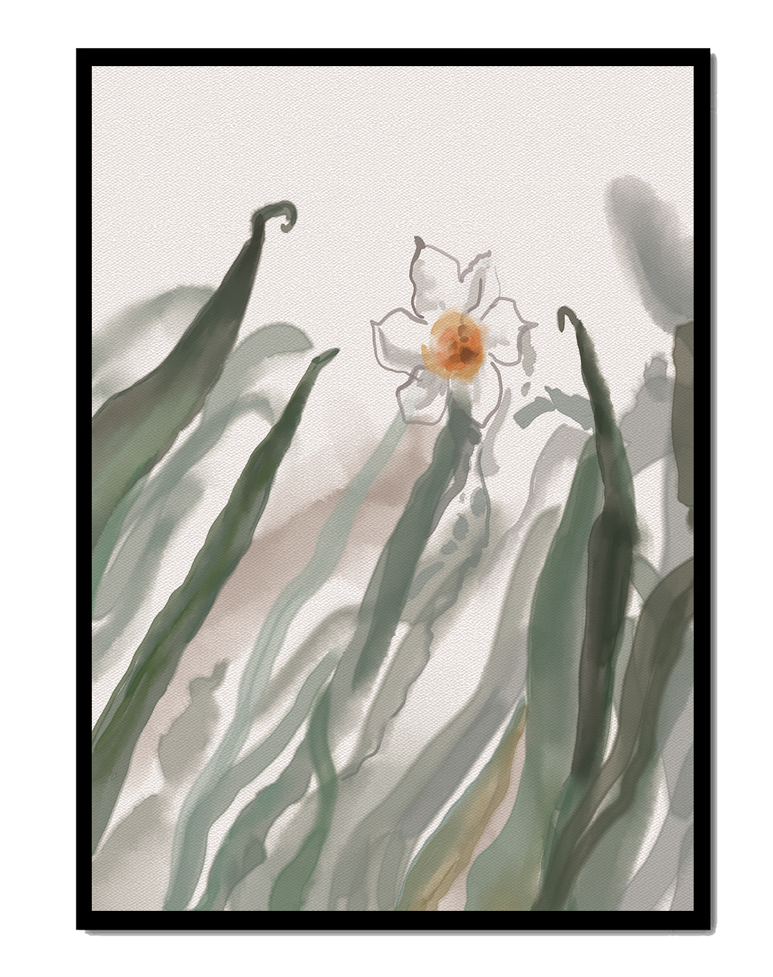 Delicate White Daffodil Among Flowing Green Leaves