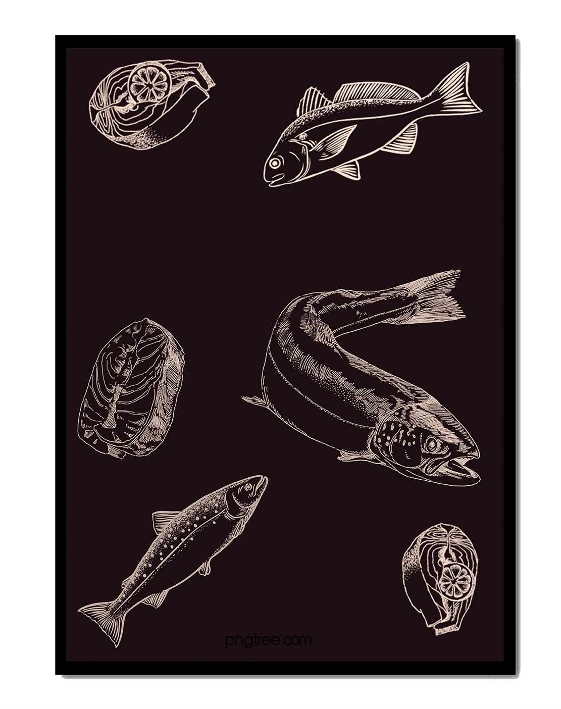 Detailed illustration of fish and seafood elements on dark background