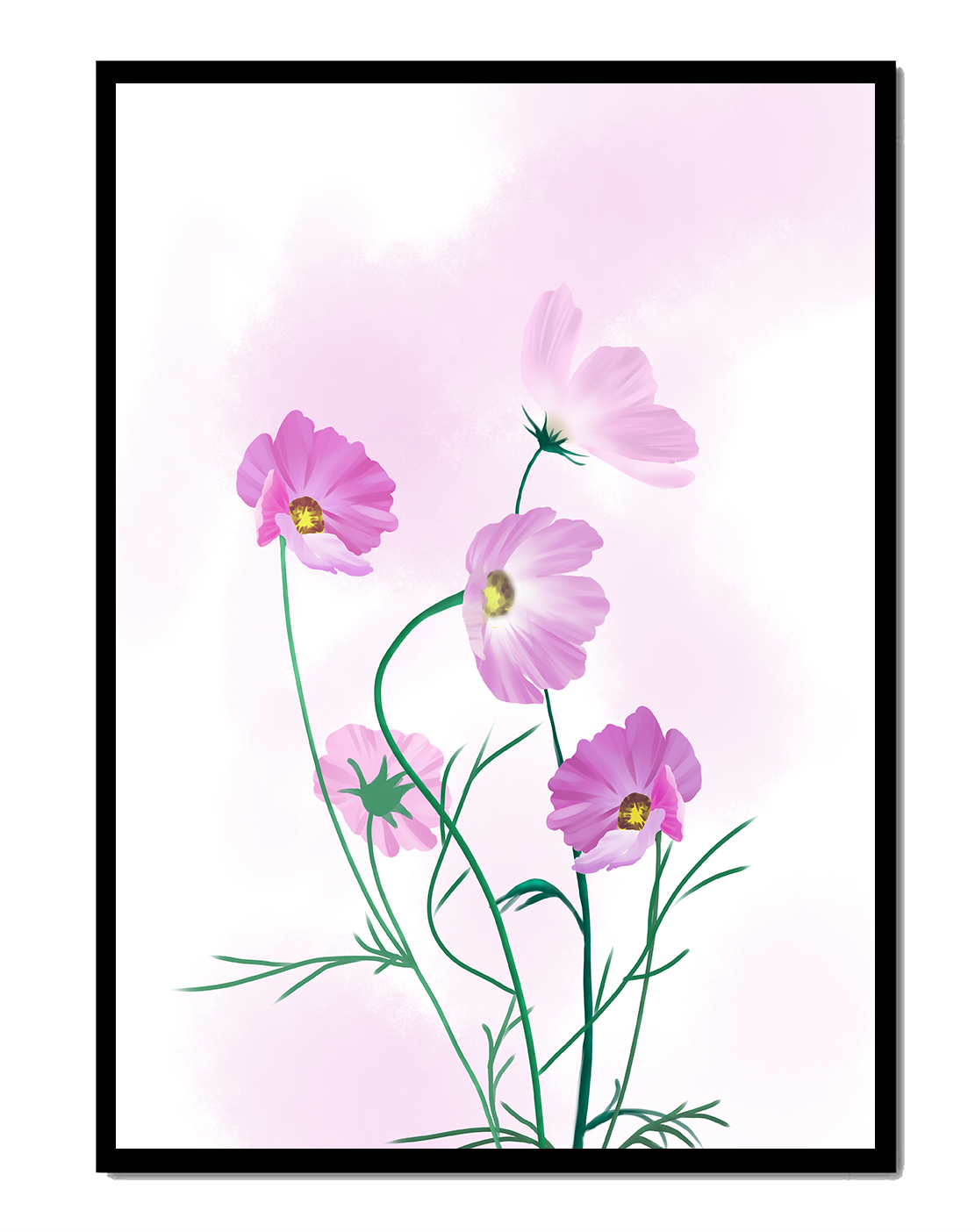 Delicate Pink Cosmos Flowers on Soft Pastel Background
