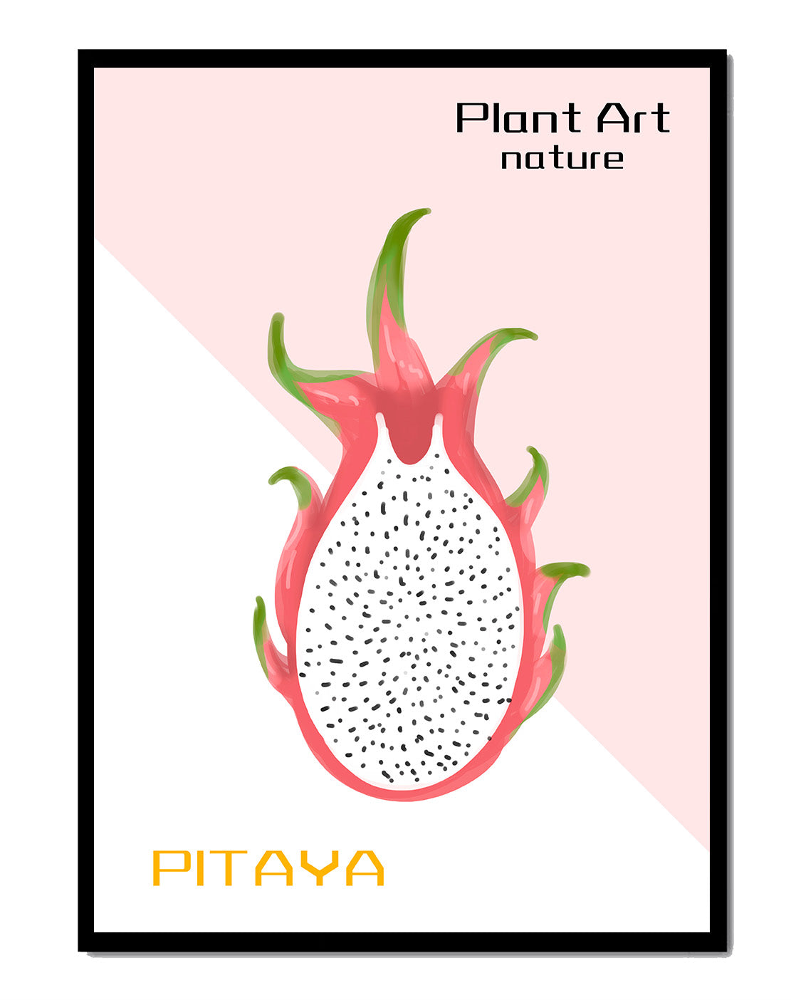 Dragon fruit illustration with modern minimalistic design and pastel background - Mi tienda