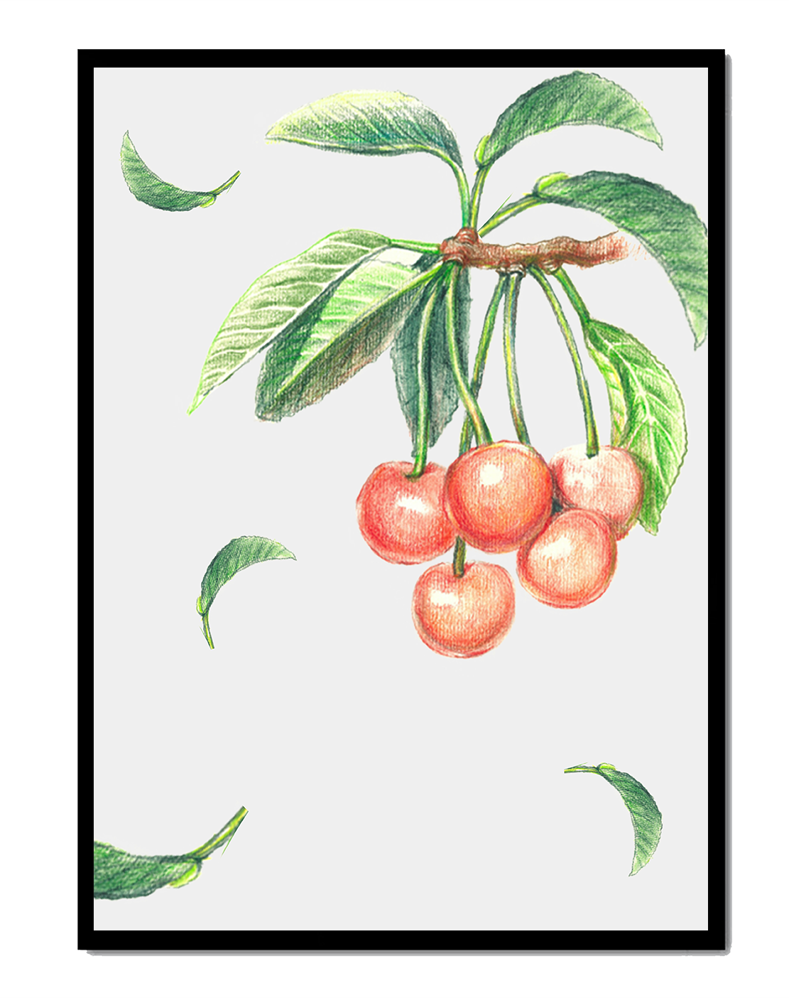 Realistic Illustration of Cherry Branch with Green Leaves