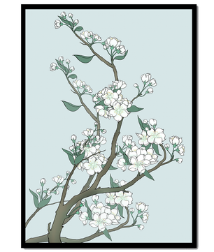 Delicate cherry blossoms on a soft blue background
