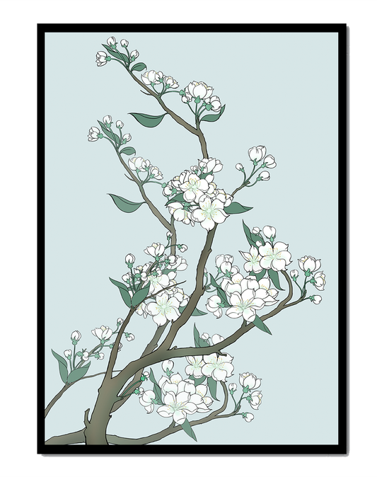 Delicate cherry blossoms on a soft blue background