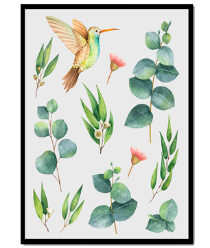 Illustration d'un colibri à l'aquarelle et de feuilles d'eucalyptus