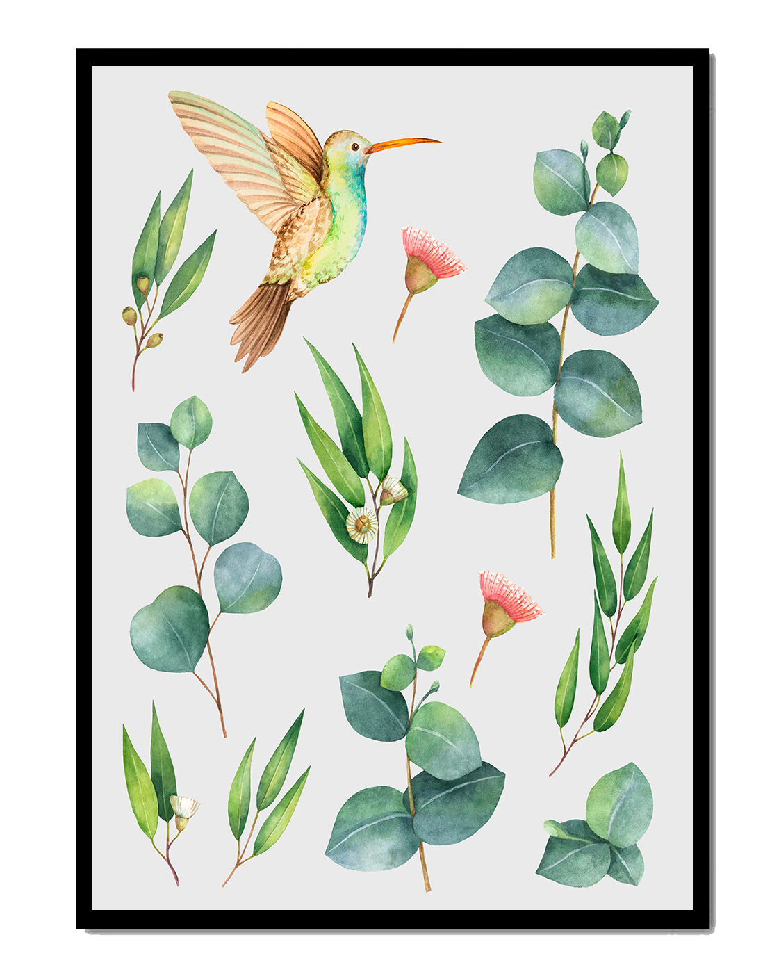 Watercolor hummingbird and eucalyptus leaves illustration