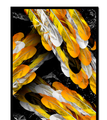 Abstract Composition with Yellow and White Feathers on a Black Background