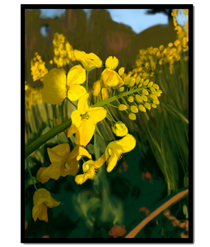 Close-up view of vibrant yellow flowers in a lush green field