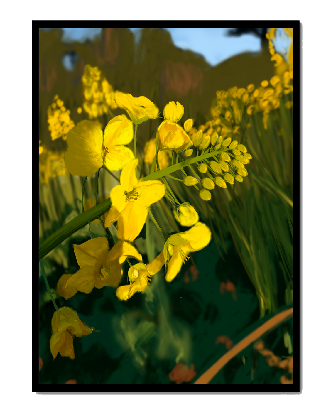 Close-up view of vibrant yellow flowers in a lush green field