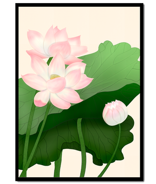 Delicate pink lotus flowers with verdant green leaves