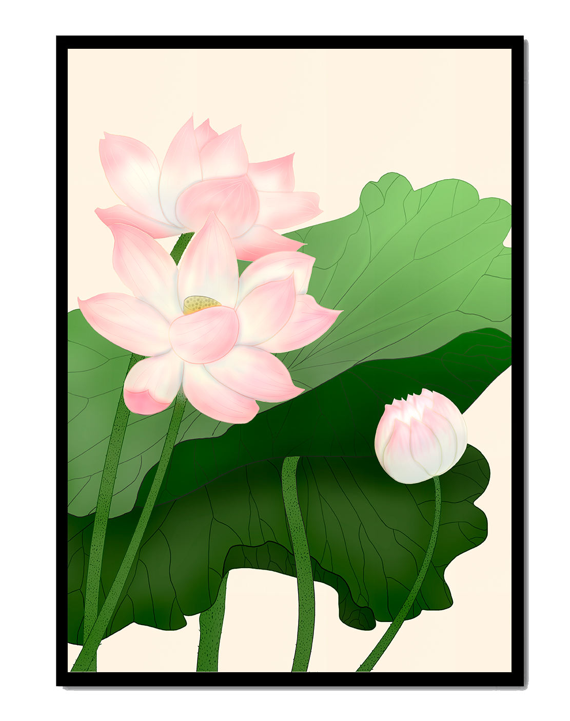 Delicate pink lotus flowers with verdant green leaves