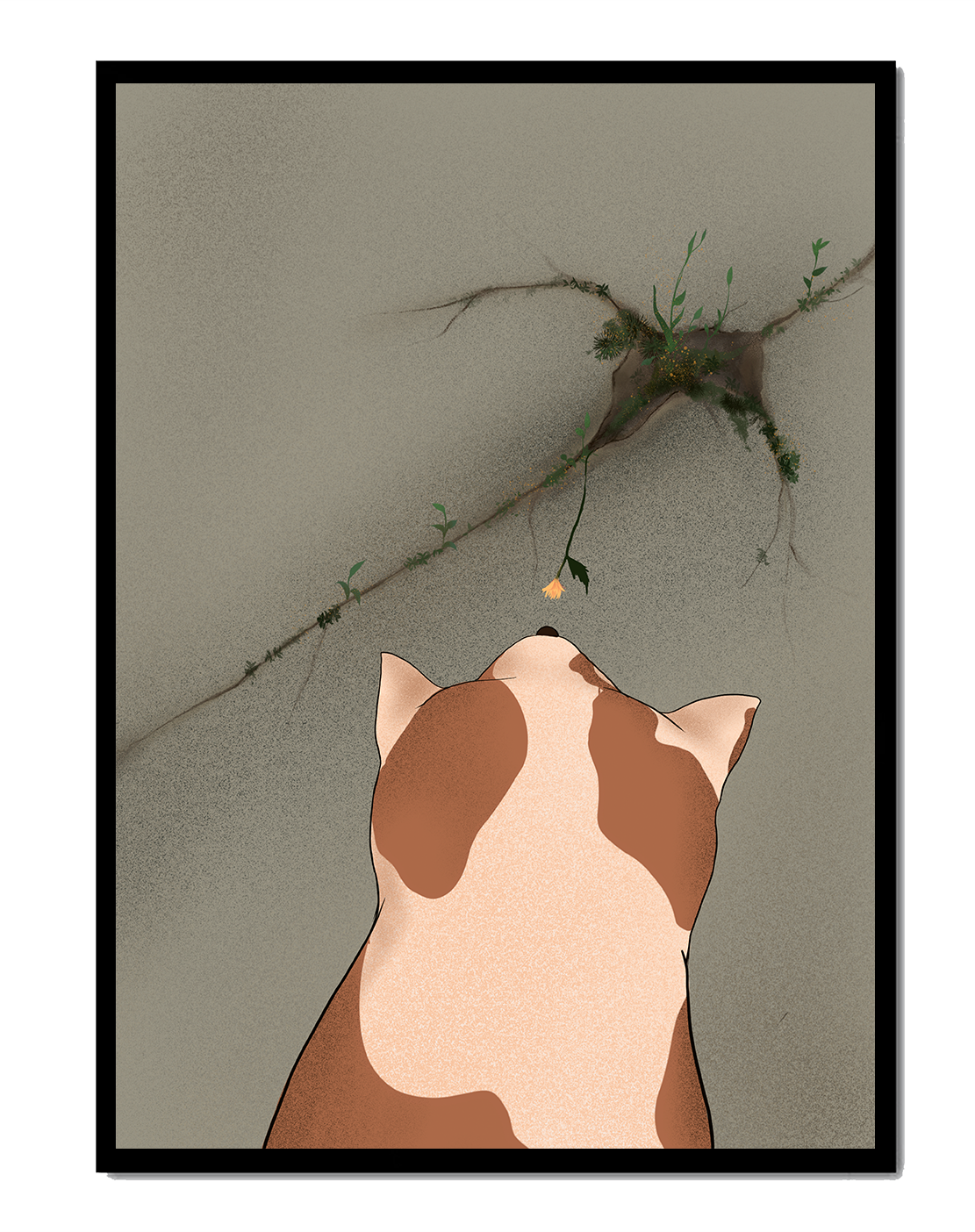Chat observant une fleur poussant sur un mur fissuré