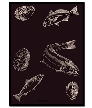 Ilustración detallada de elementos de pescado y mariscos sobre fondo oscuro