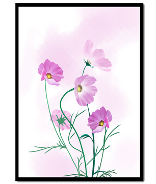 Delicadas flores de cosmos rosa sobre un fondo pastel suave