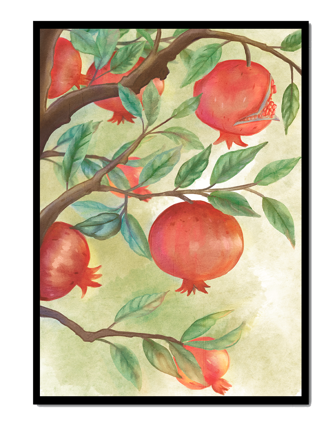 Watercolor illustration of pomegranates on a branch with leaves