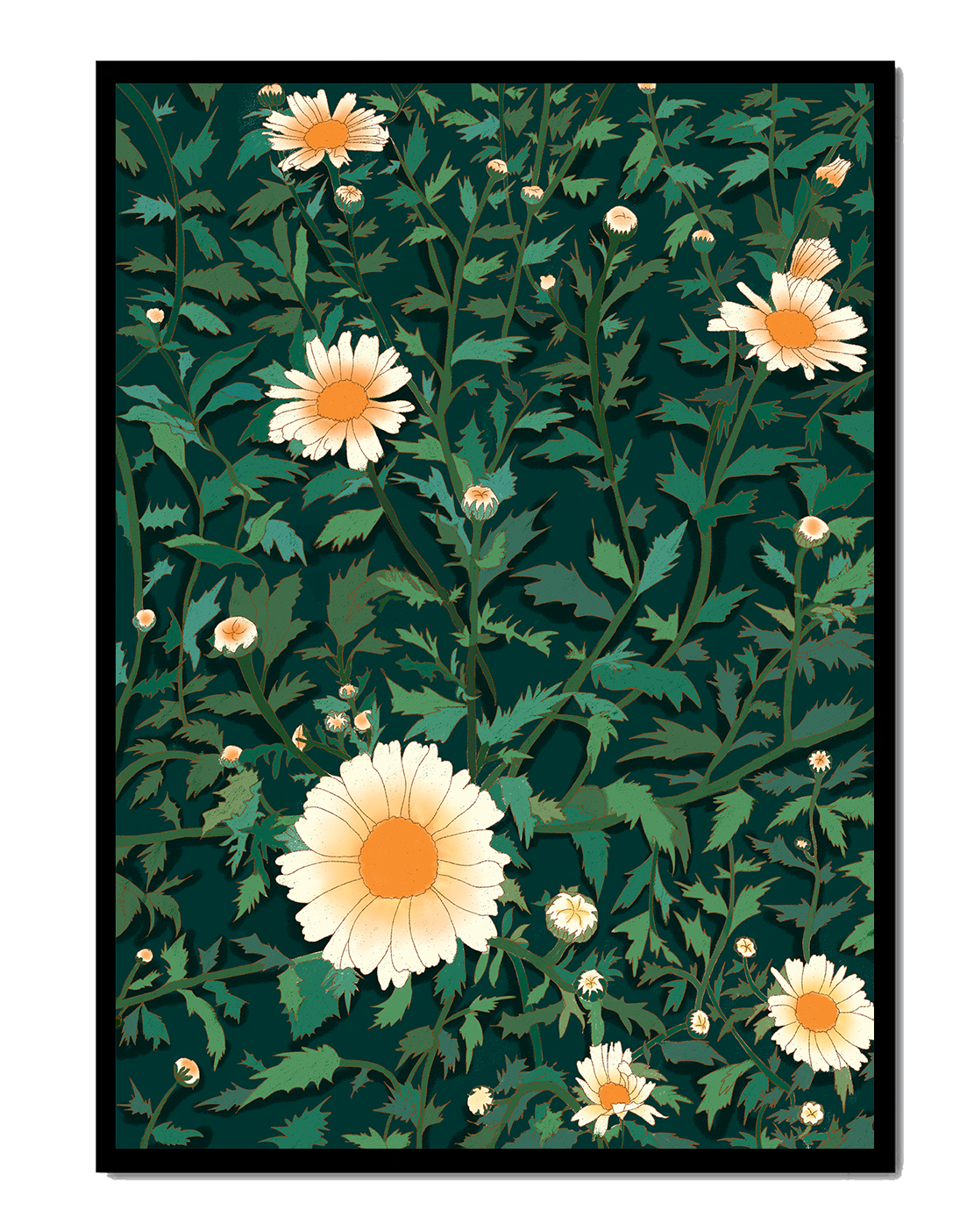 Floral pattern with daisies on a dark green background