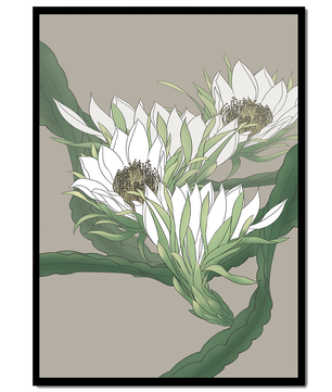 Beautiful botanical illustration of white blooming flowers with green leaves