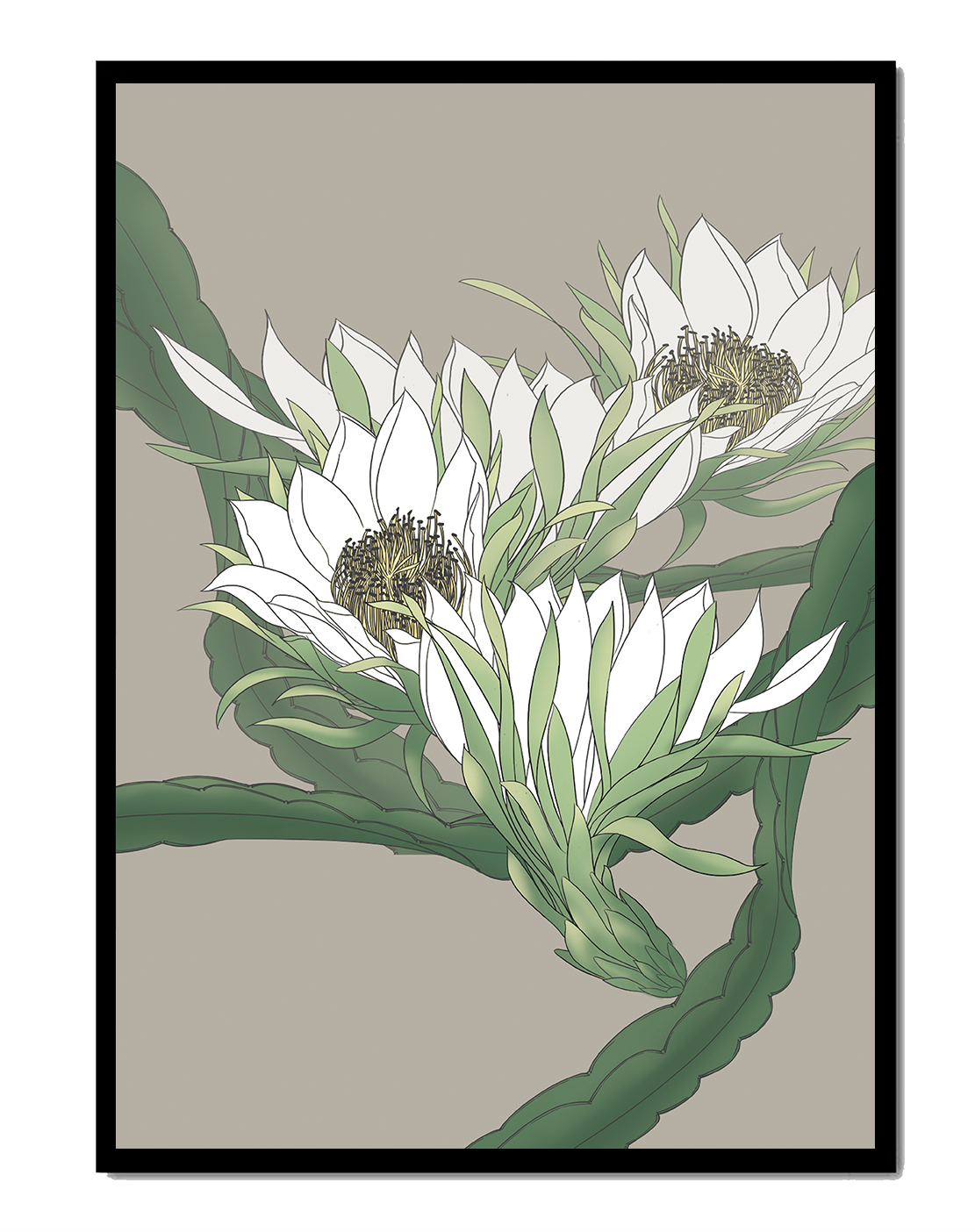 Beautiful botanical illustration of white blooming flowers with green leaves