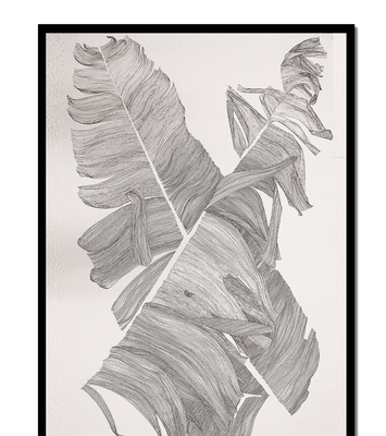 Monochrome Abstract Illustration of Overlapping Leaves
