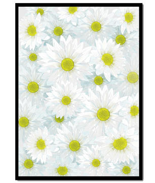 White Daisies Pattern with Yellow Centers