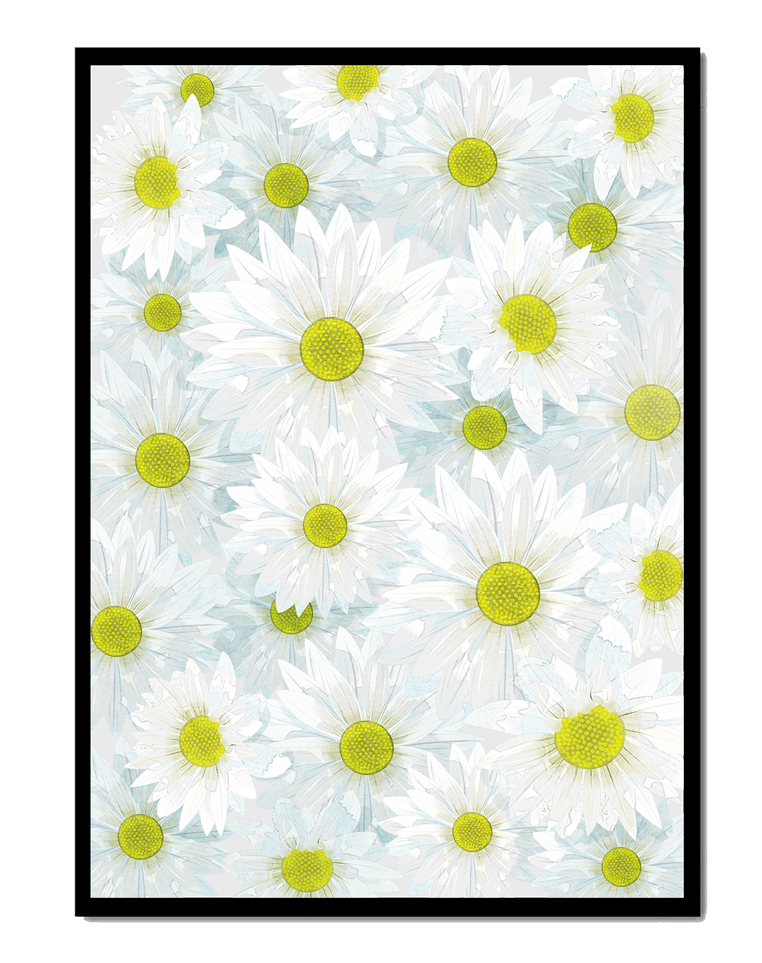 White Daisies Pattern with Yellow Centers