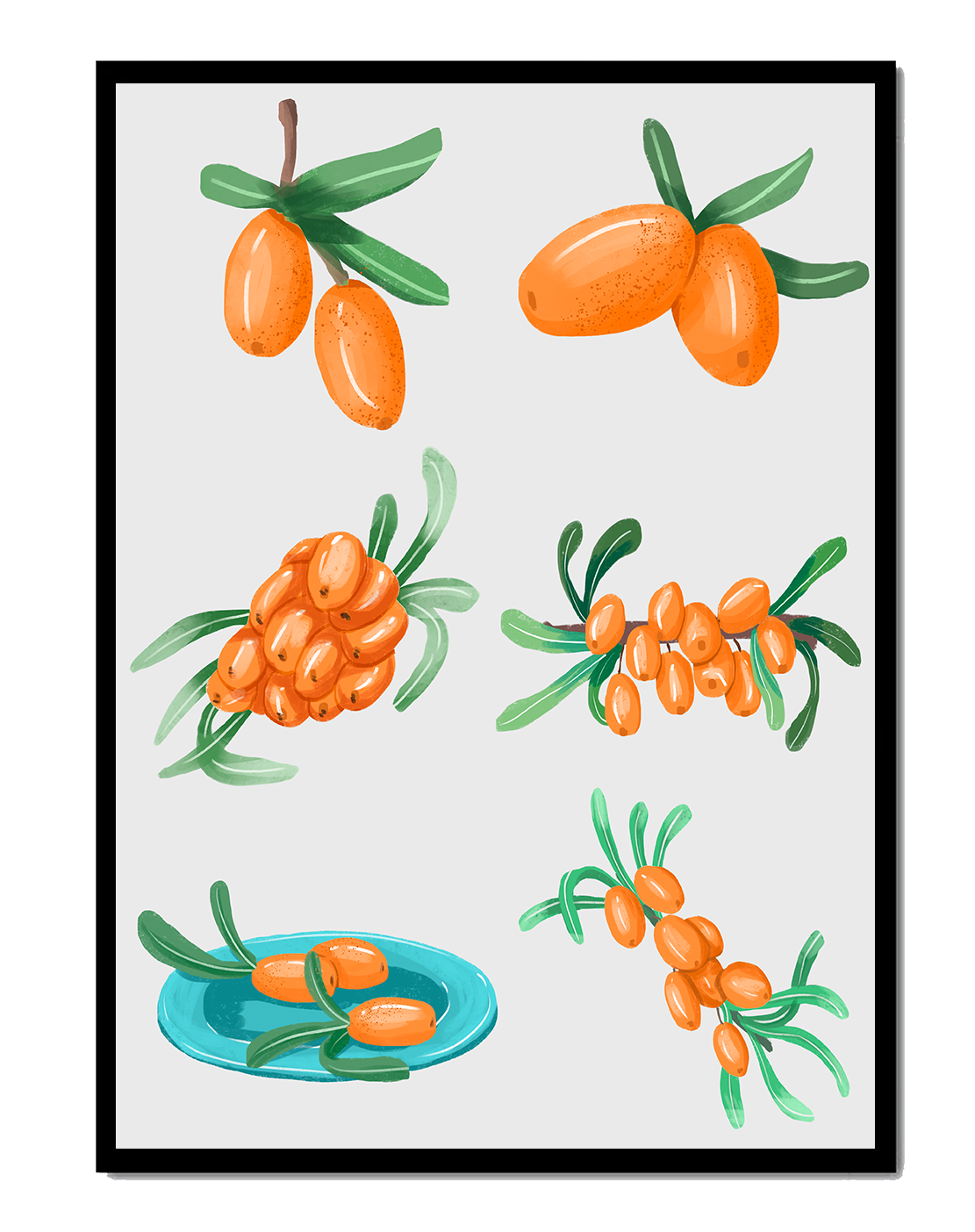 Illustrated sea buckthorn berries with leaves on black background