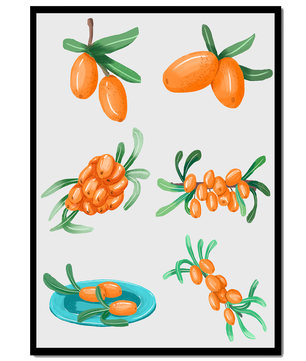 Illustrated sea buckthorn berries with leaves on black background