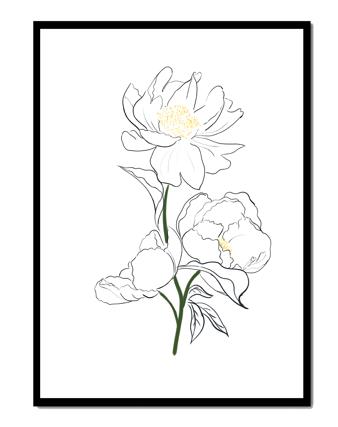 Elegante Pfingstrosen-Linienkunst mit goldenen Akzenten