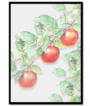 Ilustración de manzanas en la rama de un árbol con hojas verdes