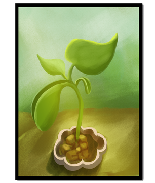 Young Green Plant Emerging from the Soil