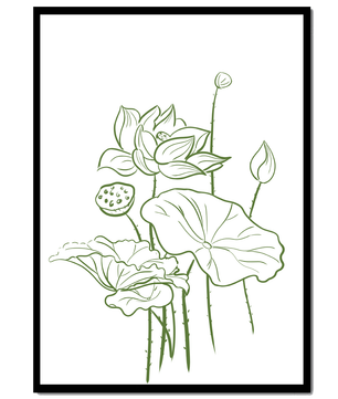 Botanische Illustration einer Lotusblume mit grüner Strichzeichnung auf weißem Hintergrund