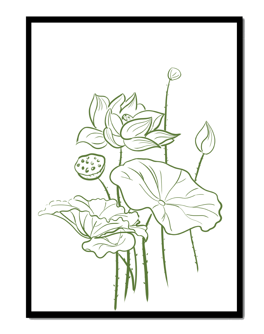 Lotus Flower Botanical Illustration with Green Line Art on White Background