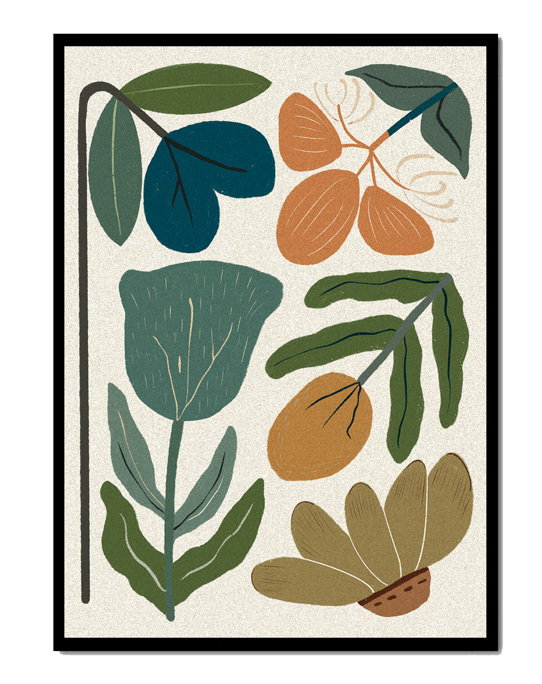 Botanical illustration with earthy and muted colors
