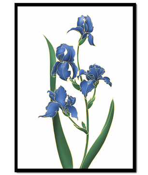 Flores de lirio azul elegantes con acentos dorados sobre un fondo blanco