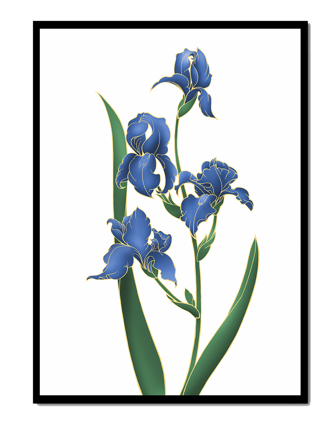 Elegant blue iris flowers with golden accents on a white background