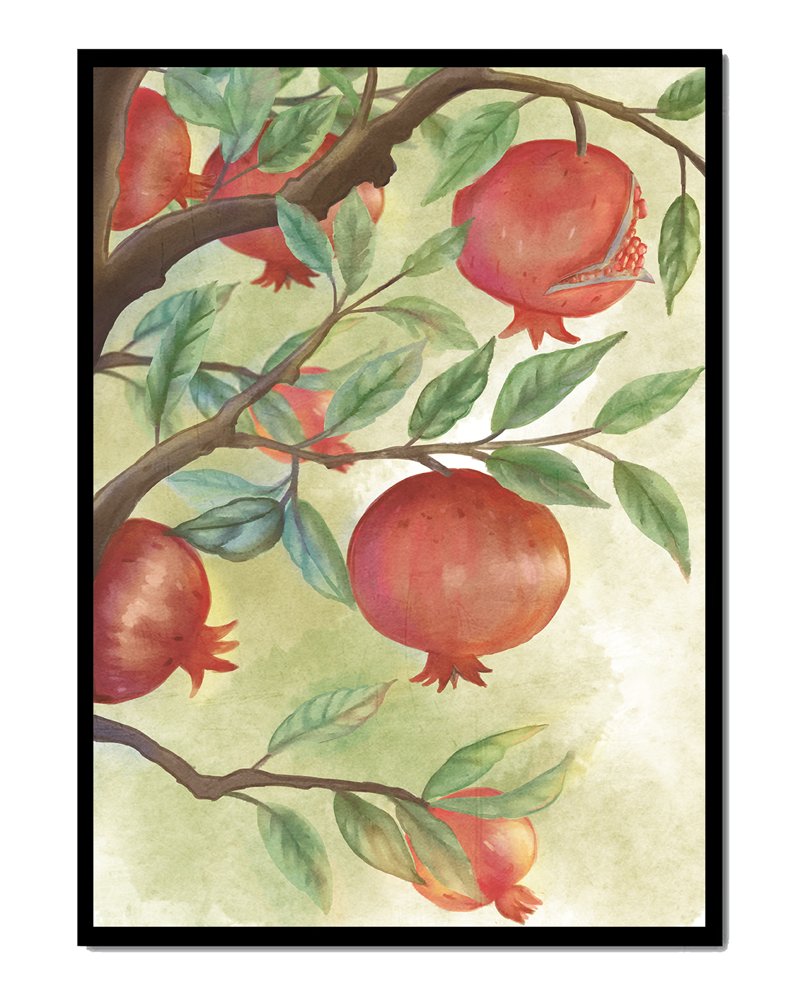 Watercolor Pomegranate Tree Branch with Fruits and Leaves
