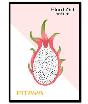 Dragon fruit illustration with modern minimalistic design and pastel background - Mi tienda