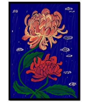 Colorful chrysanthemum illustration on dark blue background