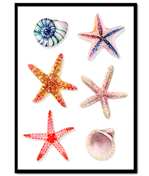 Watercolor collection of seashells and starfish illustration