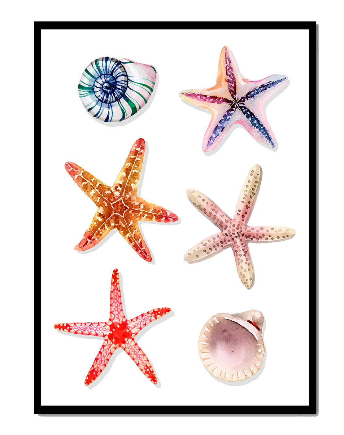 Watercolor collection of seashells and starfish illustration