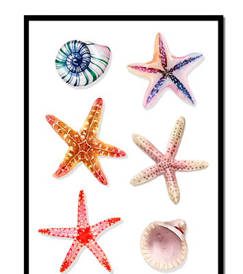 Watercolor collection of seashells and starfish illustration