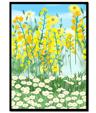 Frühlingwiese mit blühenden gelben und weißen Blumen