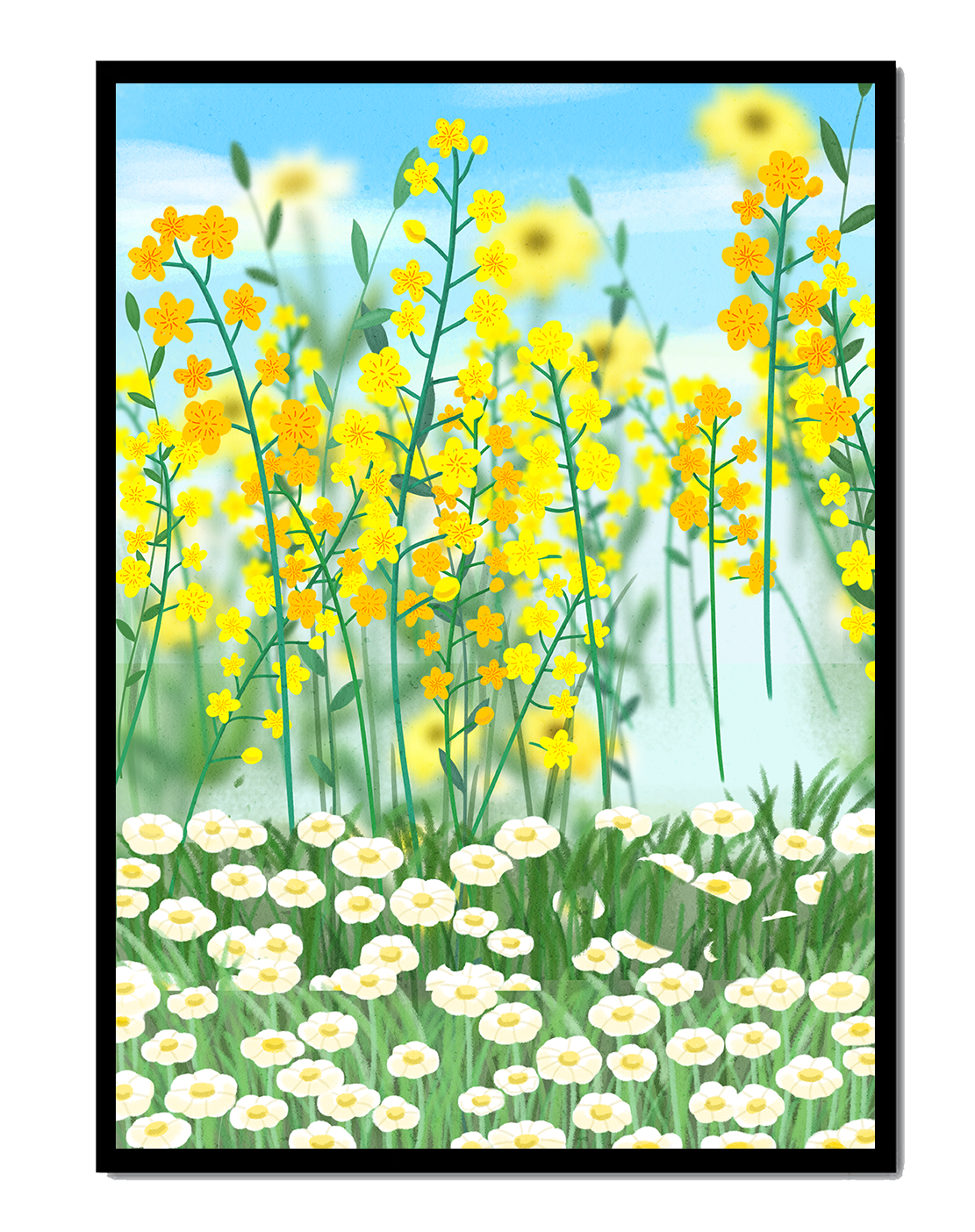 Springtime Meadow With Blooming Yellow And White Flowers