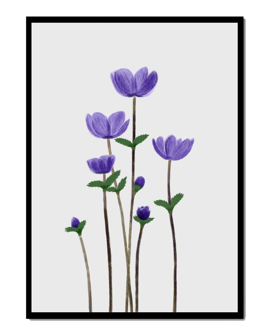 Flores púrpuras elegantes en un fondo oscuro
