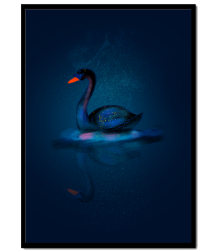 Majestic Black Swan Under Starry Night Sky with Golden Accents - Mi tienda