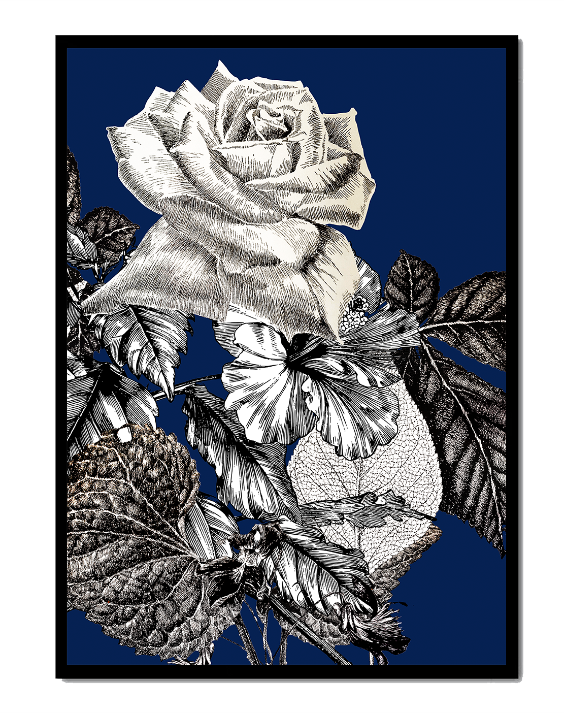 Intricate botanical illustration of roses and foliage on a deep blue background