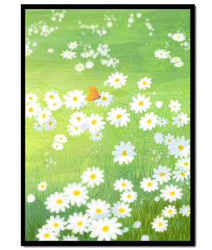 Butterfly Resting on Daisies in a Summer Meadow