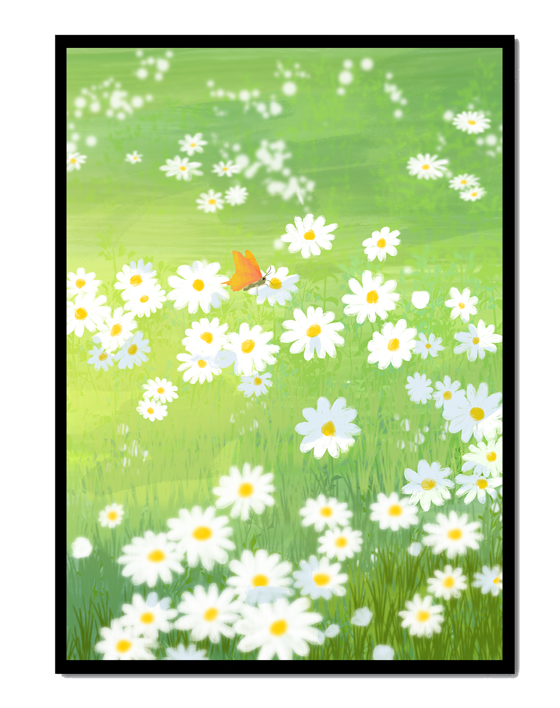 Butterfly Resting on Daisies in a Summer Meadow