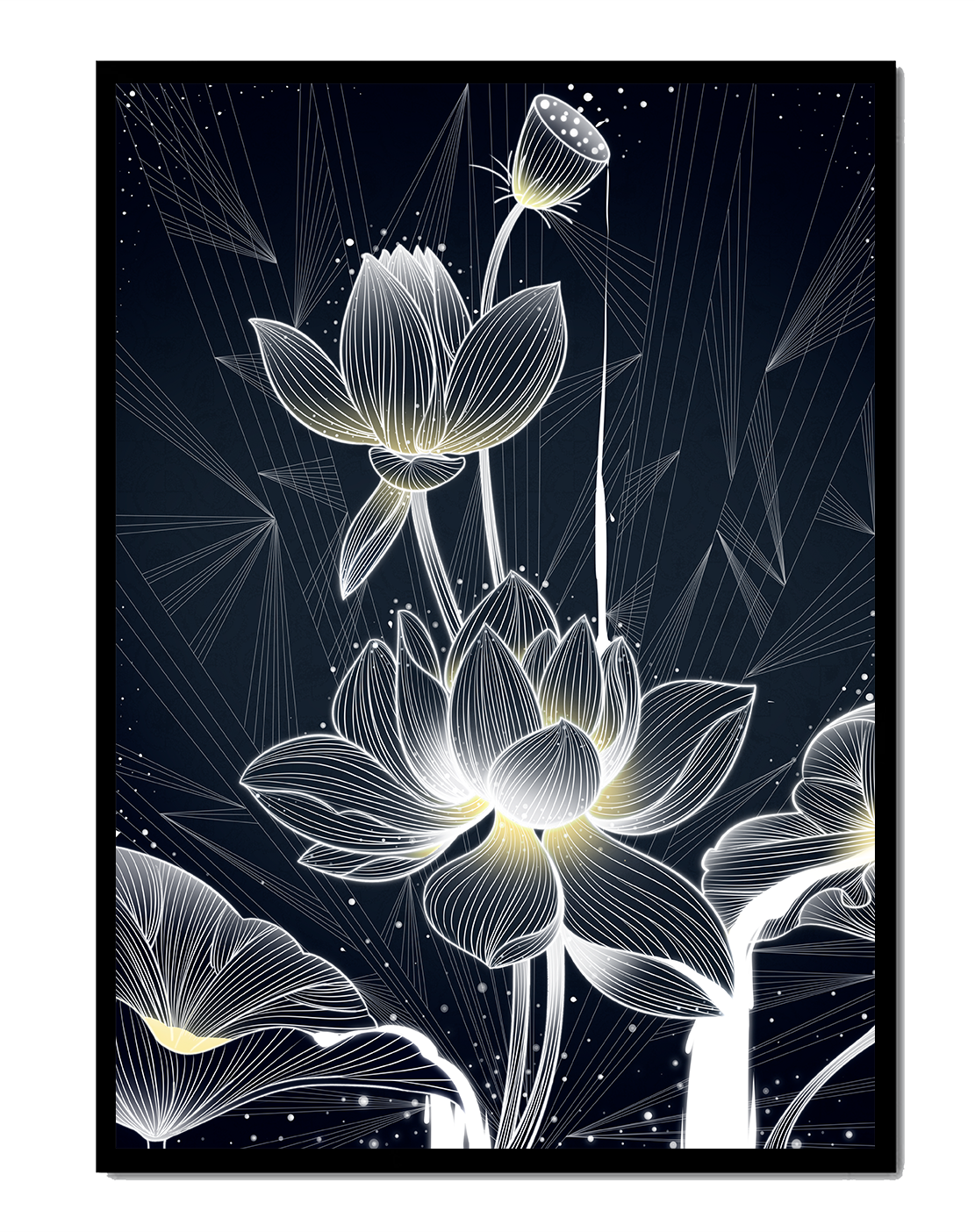 Elegant Lotus Flower Illustration with Geometric Background