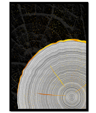 Abstract Wood Grain Pattern with Gold Accents on Black Background - Mi tienda