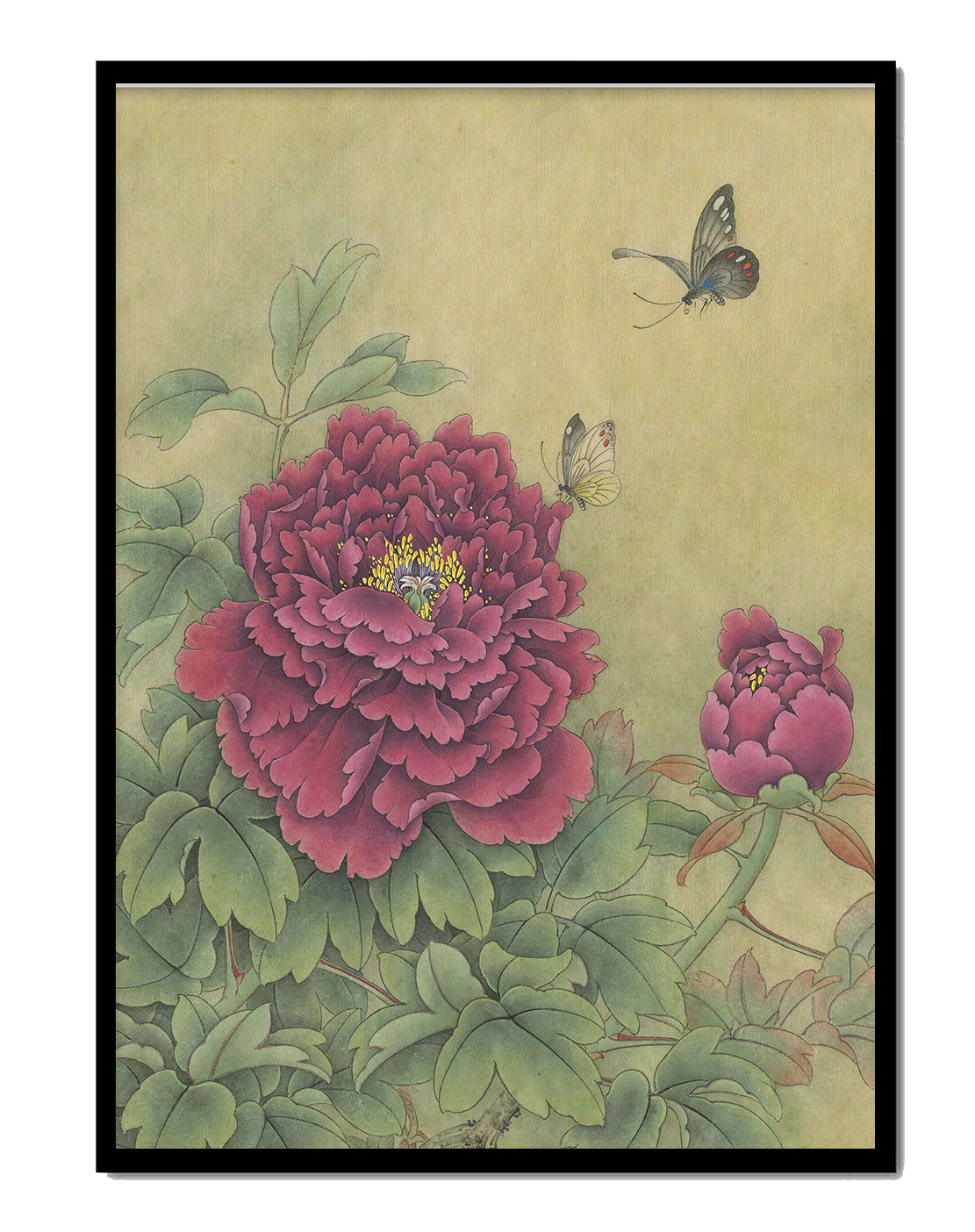 Delicate peonies with butterflies in a serene natural setting